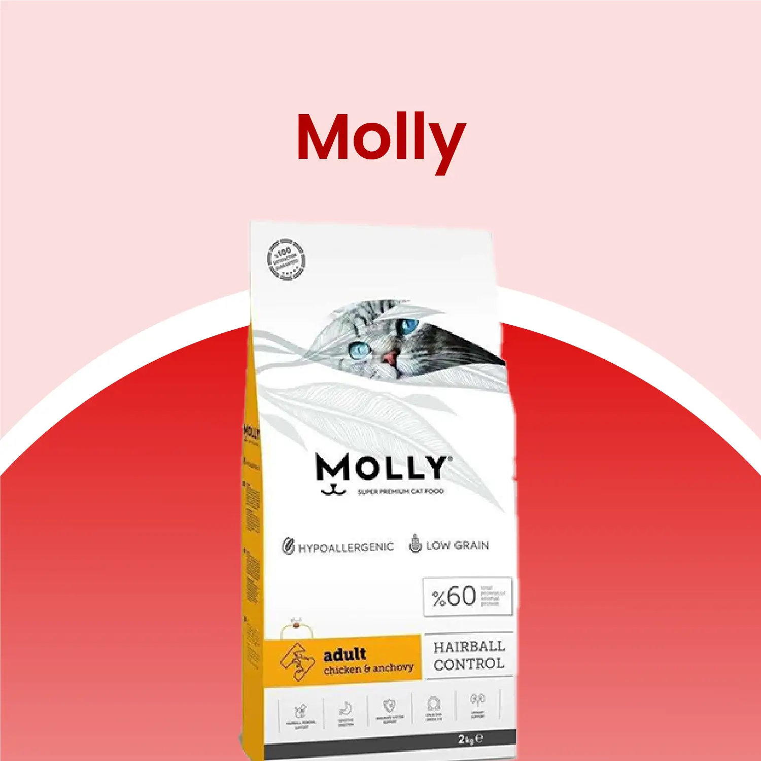 MOLLY