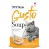 Spectrum Gusto Tavuk Etli ve Havuçlu Kedi Çorbası 50 Gr