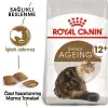 Royal Canin Ageing +12 Yaşlı Kedi Maması 2 Kg