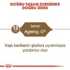 Royal Canin Ageing +12 Yaşlı Kedi Maması 2 Kg