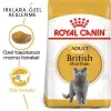 Royal Canin British Shorthair Irk Kedi Maması 2 Kg