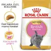 Royal Canin Kitten British Shorthair Yavru Irk Kedi Maması 2 Kg