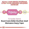 Royal Canin Kitten British Shorthair Yavru Irk Kedi Maması 2 Kg