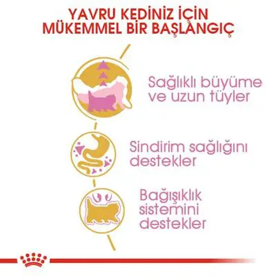 Royal Canin Kitten Persian Yavru İran Irk Maması 2 Kg 