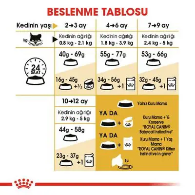 Royal Canin Kitten Persian Yavru İran Irk Maması 2 Kg 