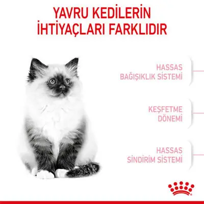 Royal Canin Kitten Yavru Kedi Maması 2 Kg 