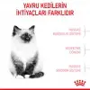 Royal Canin Kitten Yavru Kedi Maması 4 Kg