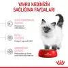 Royal Canin Kitten Yavru Kedi Maması 4 Kg