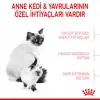 Royal Canin Mother & Babycat Yavru Kedi Maması 4 Kg