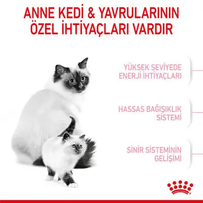 Royal Canin Mother & Babycat Yavru Kedi Maması 4 Kg