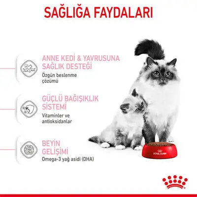 Royal Canin Mother & Babycat Yavru Kedi Maması 4 Kg