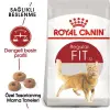 Royal Canin Regular Fit Yetişkin Kedi Maması 15 Kg 