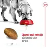 Royal Canin Maxi Adult Büyük Irk Köpek Maması 15 Kg