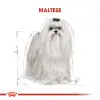 Royal Canin Maltese Bichon Maltais Köpek Maması 1,5 Kg 