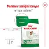 Royal Canin Mini Adult Küçük Irk Köpek Maması 4 Kg 