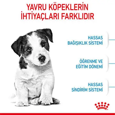 Royal Canin Mini Puppy Küçük Irk Yavru Köpek Maması 2 Kg 