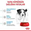 Royal Canin Mini Puppy Küçük Irk Yavru Köpek Maması 2 Kg 