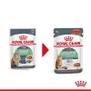 Royal Canin Pouch Gravy Digestive Hassas Kedi Maması 85 Gr