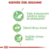 Royal Canin Pouch Gravy Digestive Hassas Kedi Maması 85 Gr