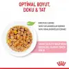 Royal Canin Pouch Jelly Kitten Instinctive Yaş Yavru Kedi Maması 85 Gr