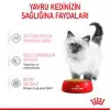 Royal Canin Pouch Jelly Kitten Instinctive Yaş Yavru Kedi Maması 85 Gr