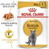 Royal Canin Pouch British Shorthair Irkına Özel Yaş Kedi Maması 85 Gr