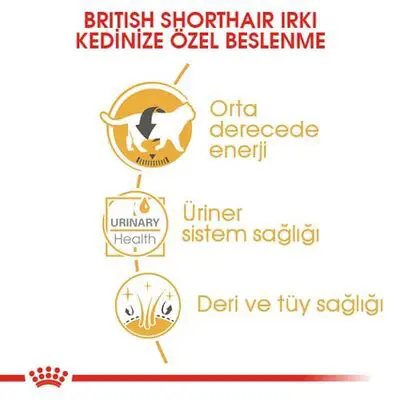 Royal Canin Pouch British Shorthair Irkına Özel Yaş Kedi Maması 85 Gr