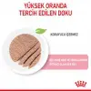 Royal Canin Mother & Babycat Instinctive Anne ve Yavru Yaş Kedi Maması 195 Gr