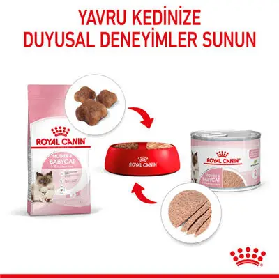 Royal Canin Mother & Babycat Instinctive Anne ve Yavru Yaş Kedi Maması 195 Gr