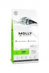 Molly Kısır Somonlu Kedi Maması 1 kg (AÇIK)