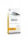 Molly Adult Tavuklu Kedi Maması 1 kg (AÇIK)