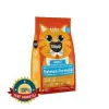 Kittylife Tavuk Etli Kısırlaştırılmış Kedi Maması 10 Kg+ 2 KG PAKET HEDİYE